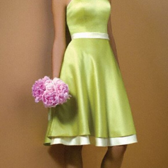 Alfred Angelo Size 6 Cocktail Bridesmaid/Formal Dress - Picture 4 of 4